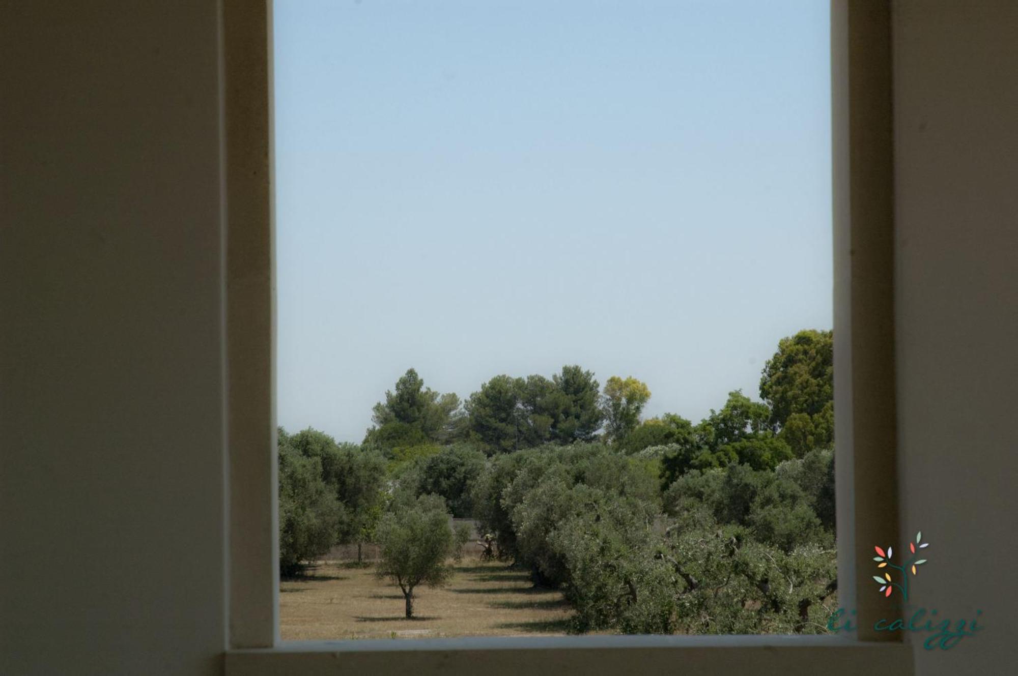 Agriturismo Li Calizzi Arte E Natura Novoli 部屋 写真