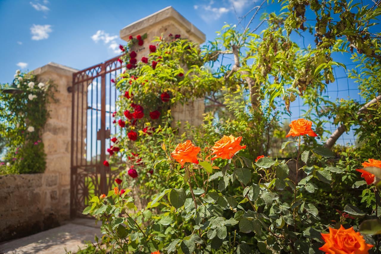 Agriturismo Li Calizzi Arte E Natura Novoli エクステリア 写真